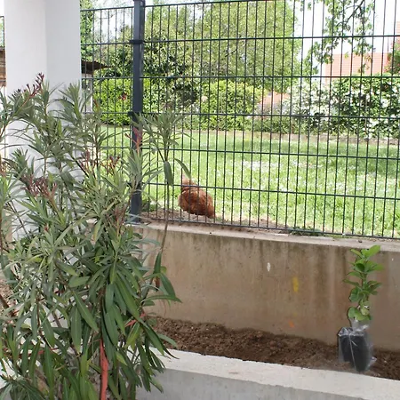 Ferienwohnung Le Jardin De Clementine Wingersheim-les-Quatre-Bans Exterior foto