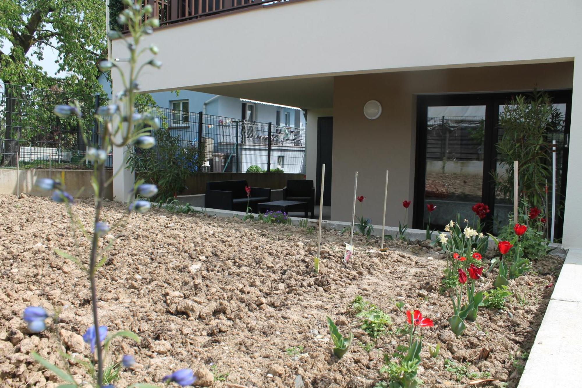 Le Jardin De Clementine *